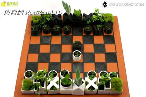 多肉植物與創意國際象棋-2