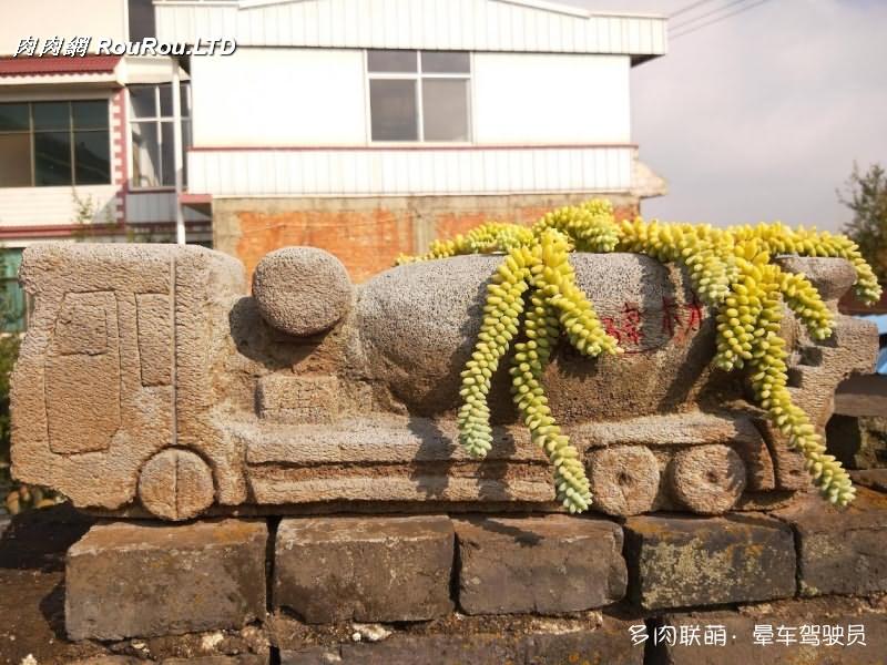 水泥、石頭、木頭、磚頭做成的花盆