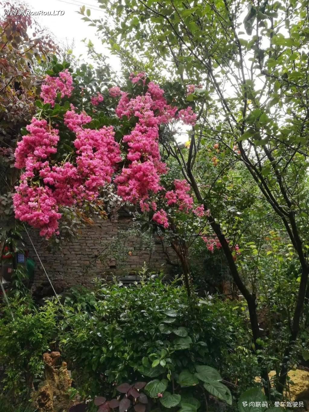 水泥、石頭、木頭、磚頭做成的花盆