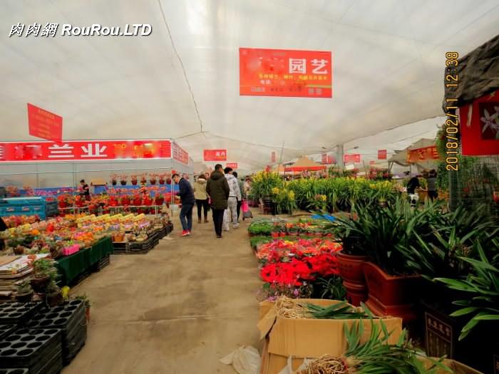 山東青州花卉博覽會裡的多肉和花草