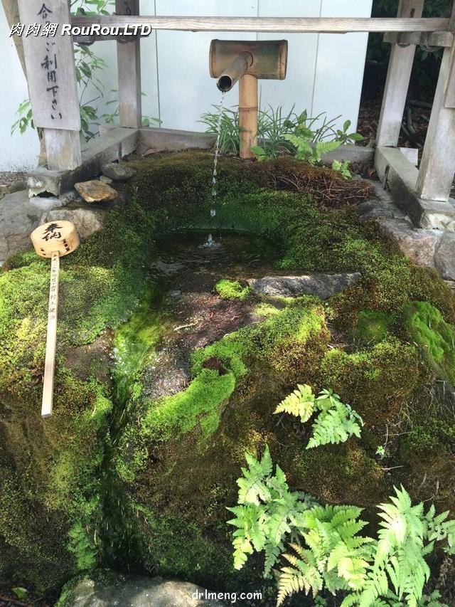 日本園藝造景和多肉植物